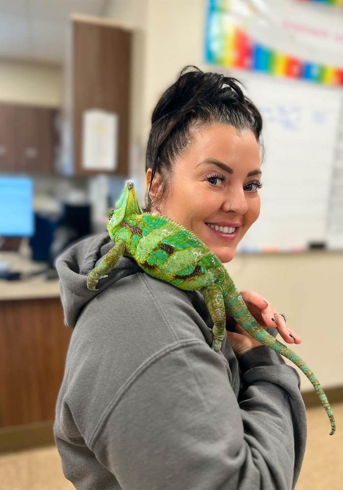 A person holding a chameleon in their arms