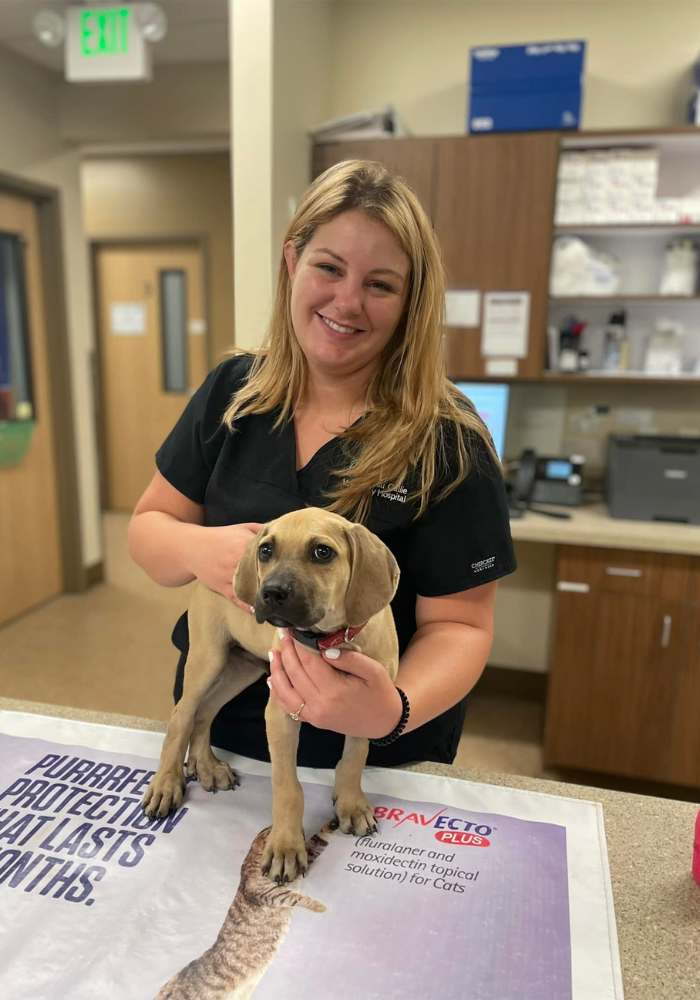 a person holding a puppy in front of a poster