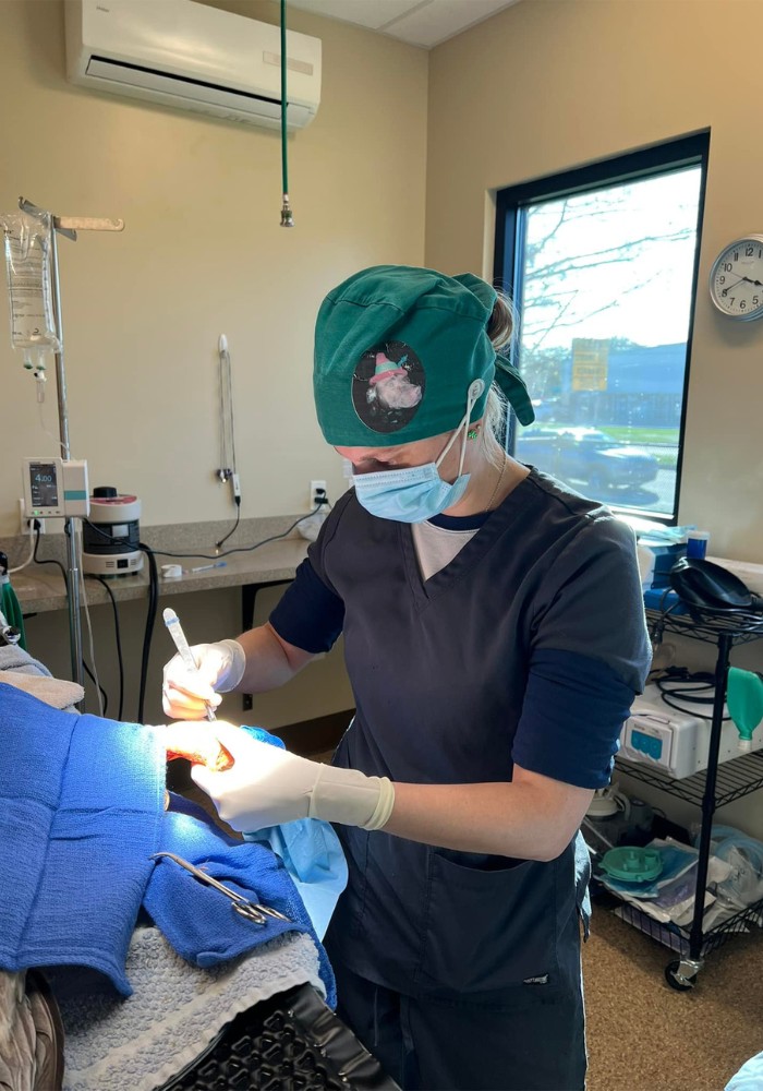 a person in scrubs working on a dog in an operating room