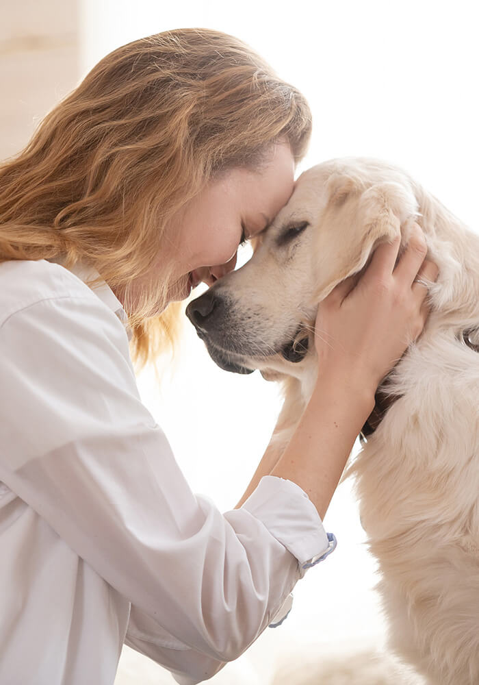 a person in scrubs is holding a dog with a stethoscope