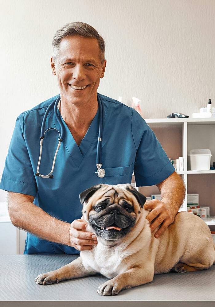 a person in a white lab coat holding a dog and an orange kitten